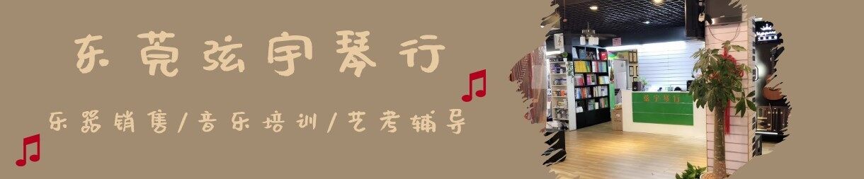 东莞弦宇琴行