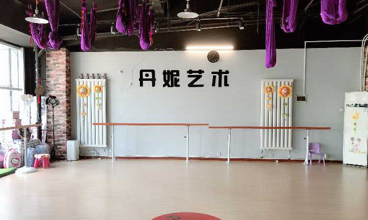 天津丹妮艺术舞蹈工作室